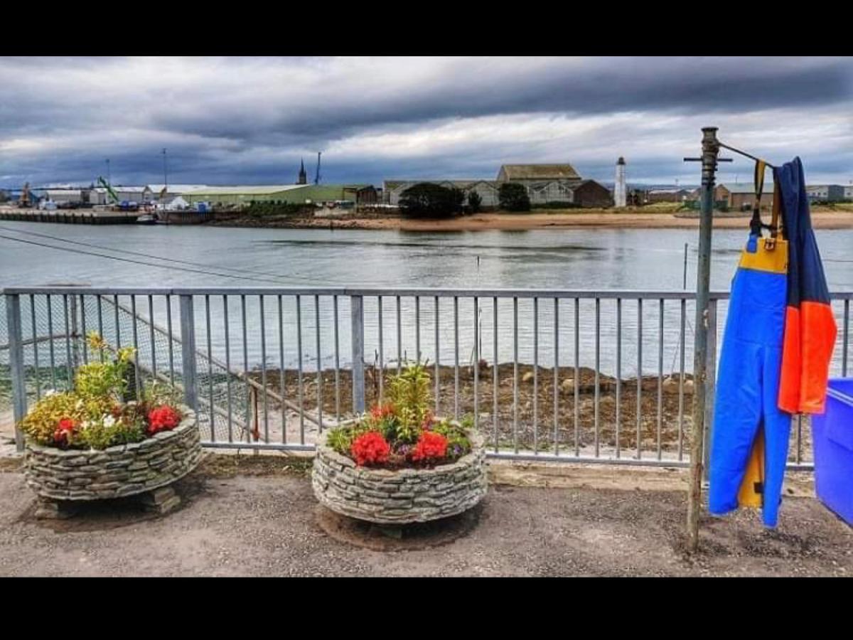 The Thin Seagull 4 Beacon Terrace Ferryden Βίλα Εξωτερικό φωτογραφία